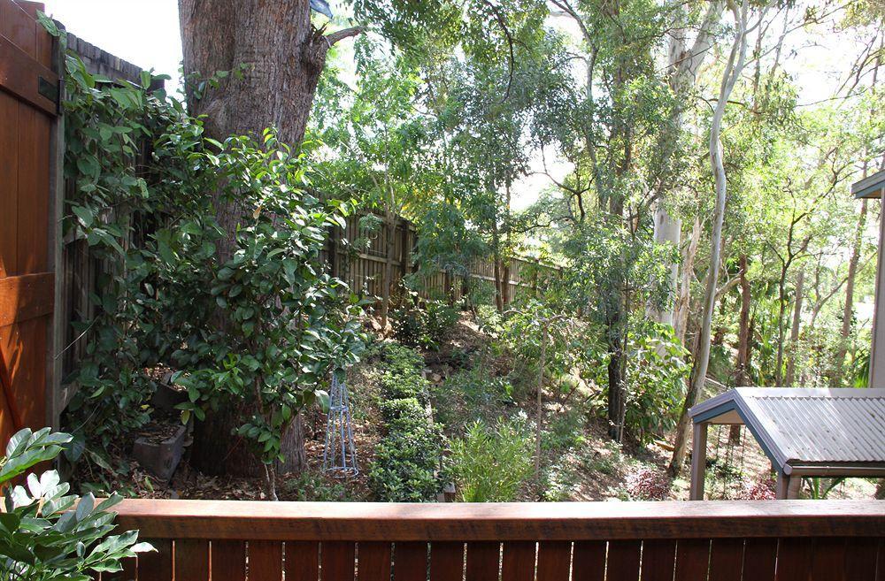 Arabella Guesthouse Alexandra Headland Extérieur photo