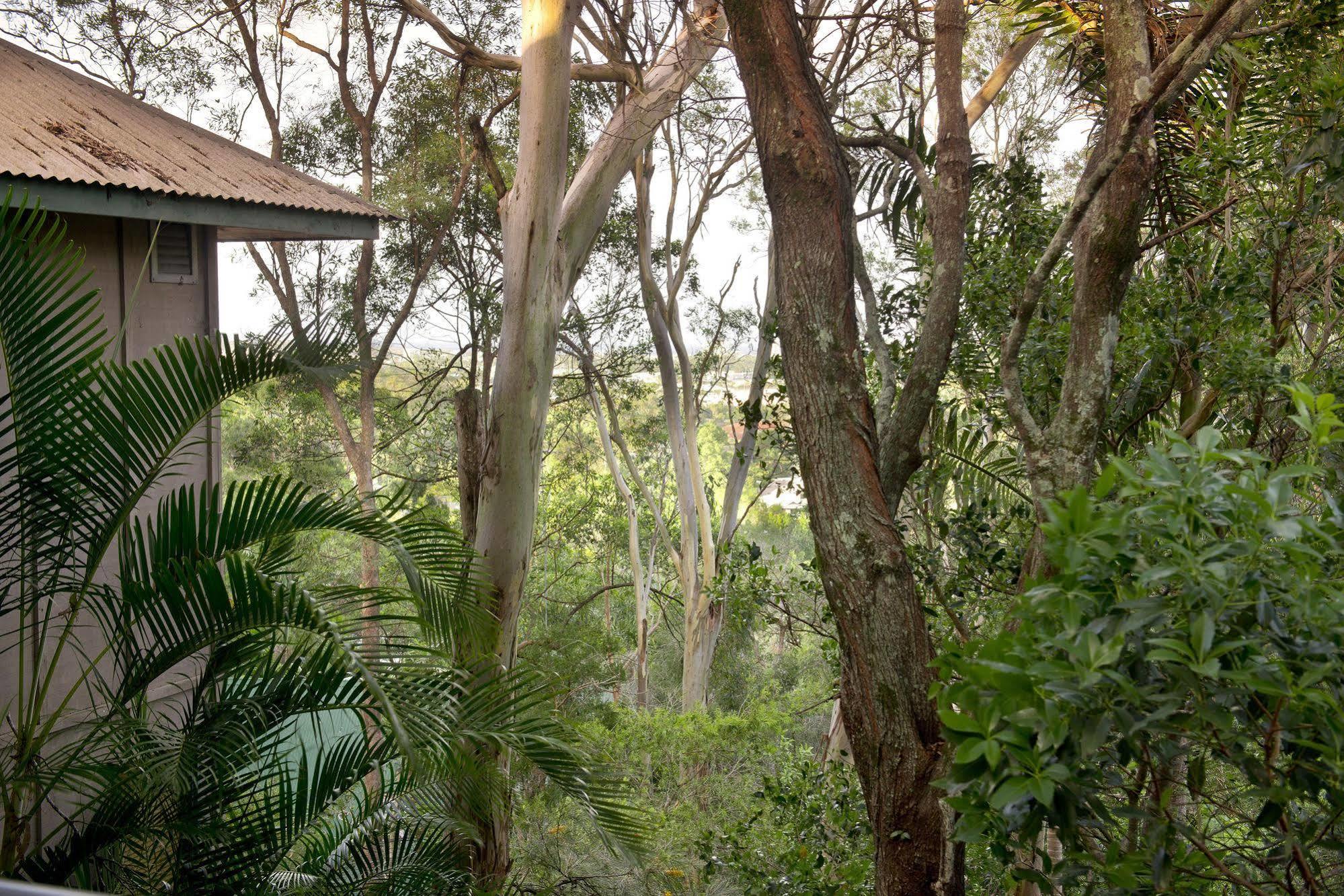 Arabella Guesthouse Alexandra Headland Extérieur photo